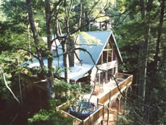 Hot tub, deck, log cabin -- it's wonderful!